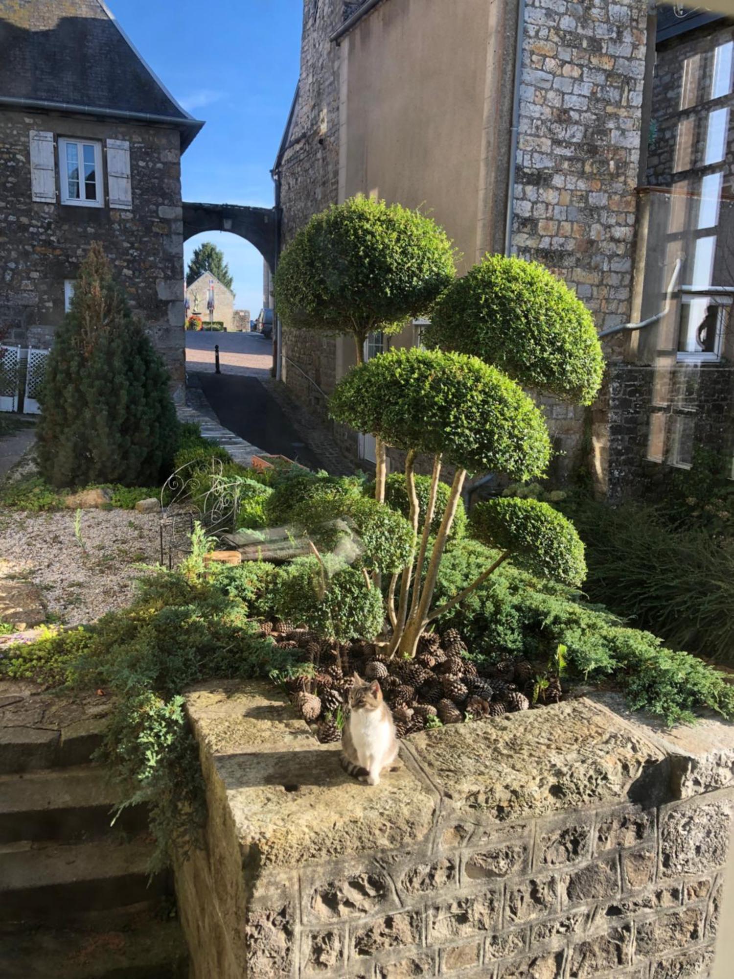 La Maison Sur Les Remparts Domfront (Orne) Exterior foto